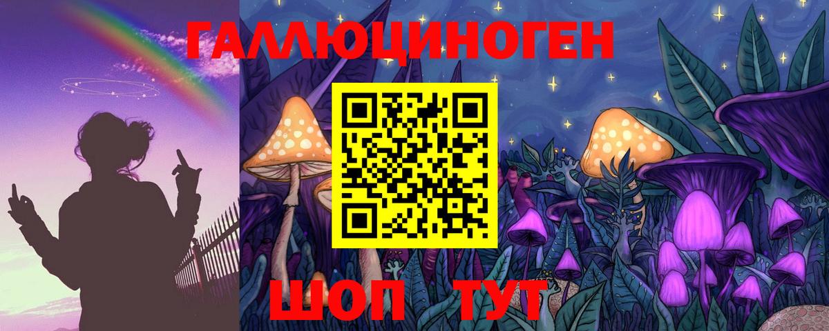 Шахты  Галлюциногенные грибы Psilocybine cubensis  Вход с VPN 